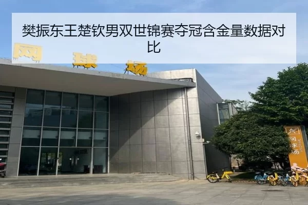 樊振东王楚钦男双世锦赛夺冠含金量数据对比